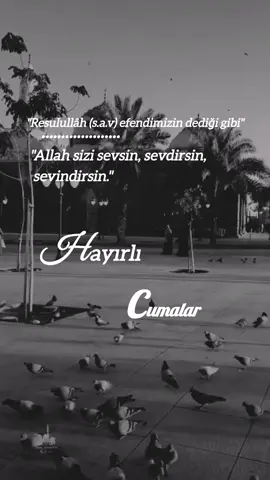 #hayırlıcumalar🌹🌺🌺🌷💖 #hayırlıcumalar #cumanız_mübarek_olsun🌹🕋🌹🕌🤲 #hzmuhammedsav #hadis #sevgi #sev #dua #dualar #amin #aminyarobalallamin🤲🏻 #cumamesajları #🌹🌹🌹 #🕊️ #💐 #🕋📿🕌regay_islam🌼🦋🤲 #🍂 