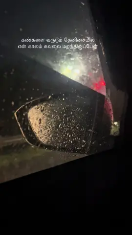 Evano oruvan 💜♾️🫠#meenasarra❣️ #meena #tamilcinema #tamillyrics #tamilbgm #tamilsong #tamillovewhatsappstatus #tamilstatus #tamiltrendingsong #tamilviral #tamilmuser #evanooruvanvaasikiran #shalini #madhavan #alaipayuthey 