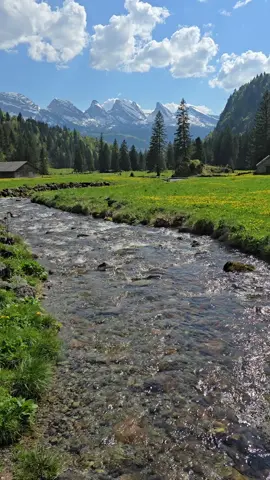#switzerland #nature #photography #apenzellswitzerland #traveltips #suisse #switzerland🇨🇭 #thisplace #beautifuldestinations 