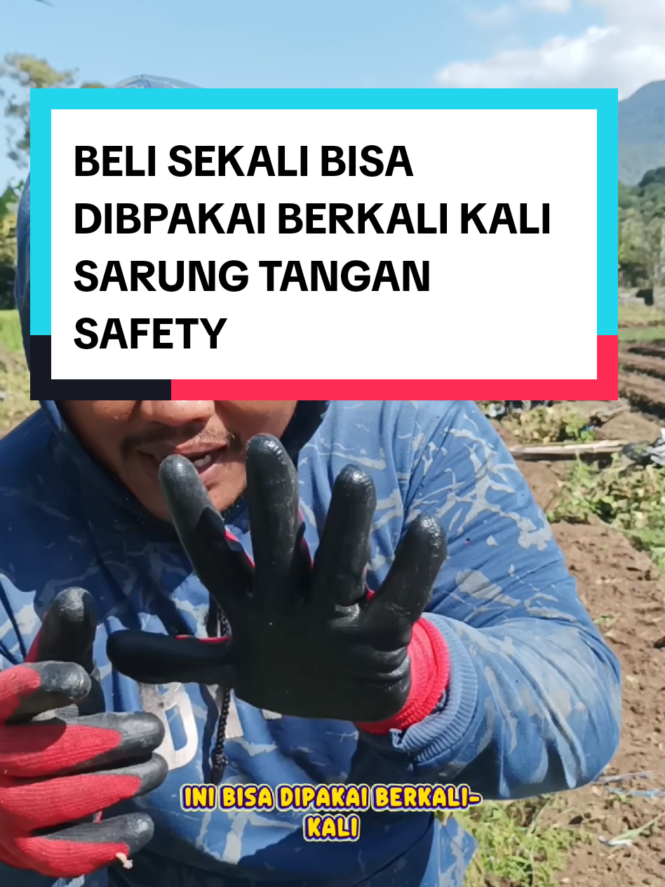 Sarung tangan murah dapat 12 pasang, saya cekout yang warna merah #sarungtangan  #petaniindonesia🇮🇩🇮🇩🇮🇩🌿🌿 