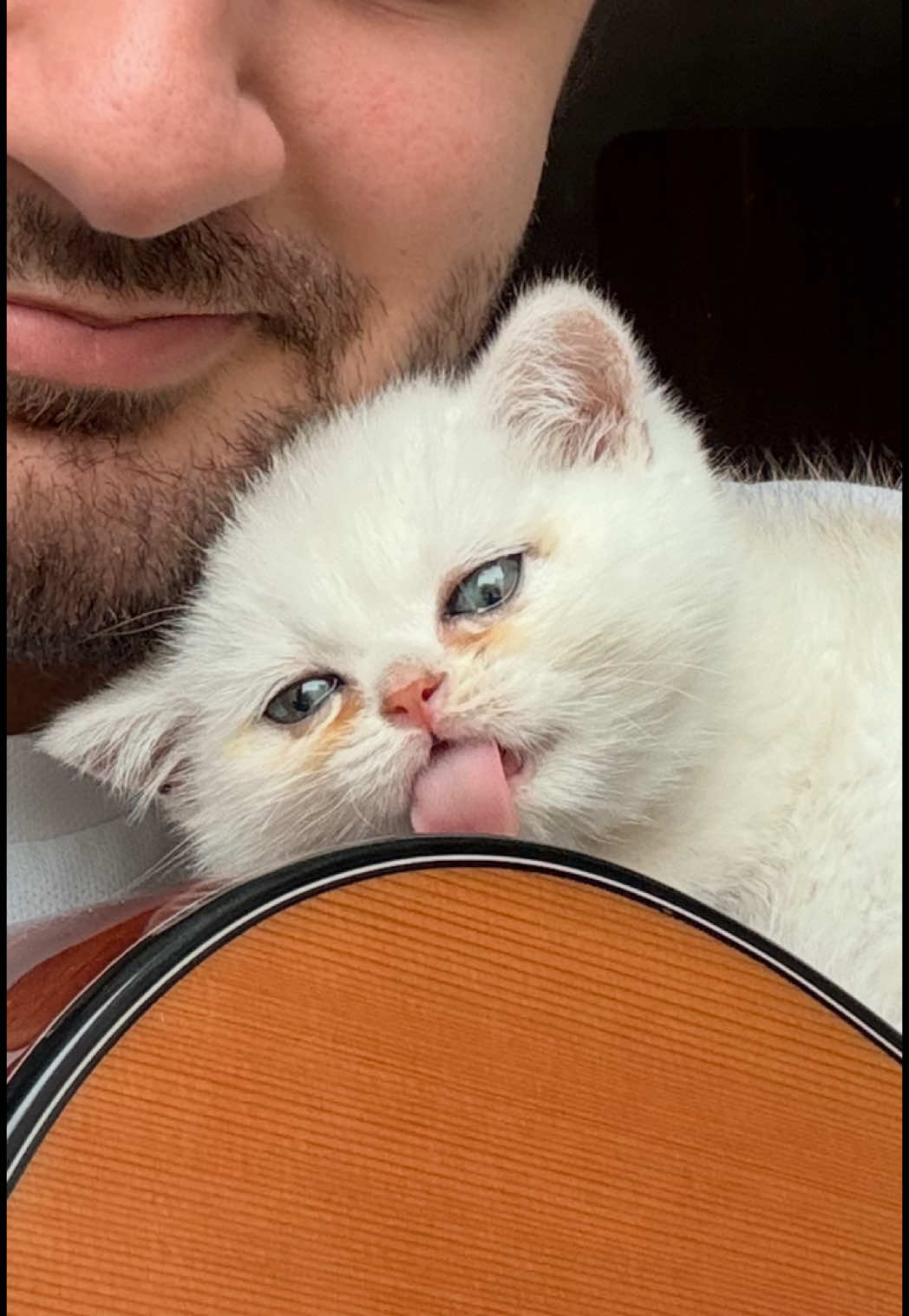 🐈: I would never fall 😎