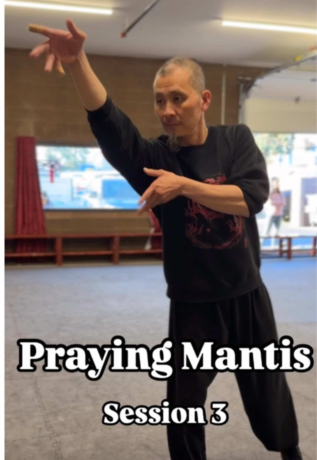 Praying mantis training section 3  #武术 #功夫 #太极拳 #jianfengchentaichi #prayingmantis #wushu #kungfu #taichi #martialart #exercise #shaolin #shaolinkungfu #bendoregonlife #bendoregon #taichí #taiji 