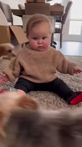 BFFs are playing together 👶🐶🥰 #cutevideo #funnyvideos 