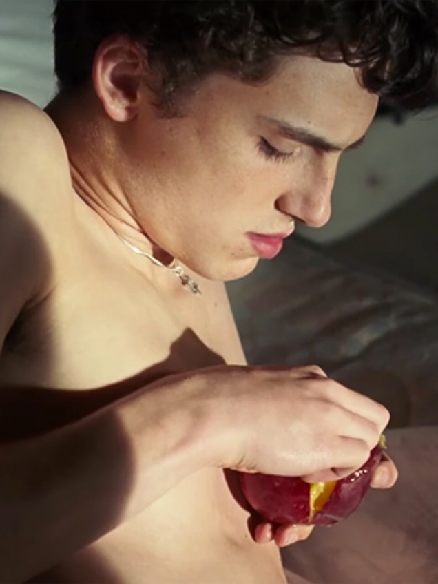 #mechamepeloseunome #timotheechalamet #calmebyyourname #pessego 