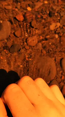 Happy light fantasy month!!! #maylightfantasy #lightfantasymonth #lightfantasy #foryou #foryoupage #fantasy 