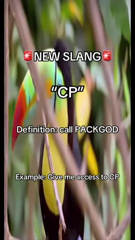 #slimetok #newslang #PACKGOD #fyp #viral
