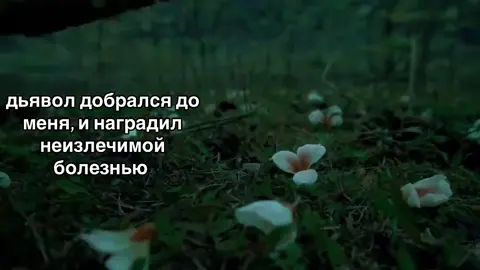 #fyp #recommendations #дослез #щп 