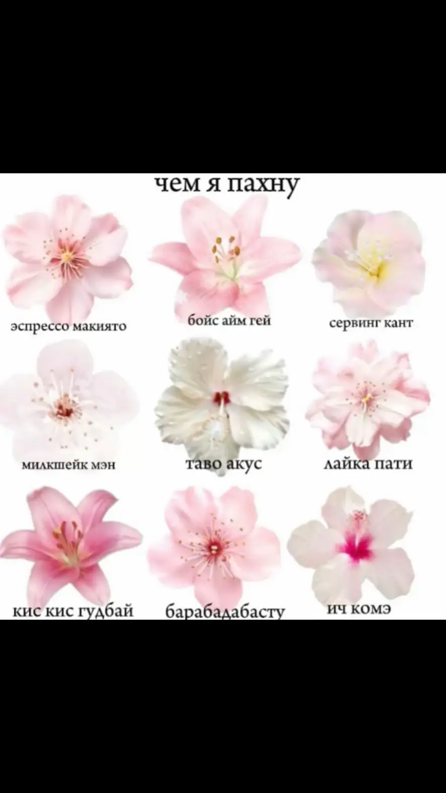 #eurovision #чемяпахну #евровидение #евровидение2025 #evrovision2025 #euro2025 #fyp