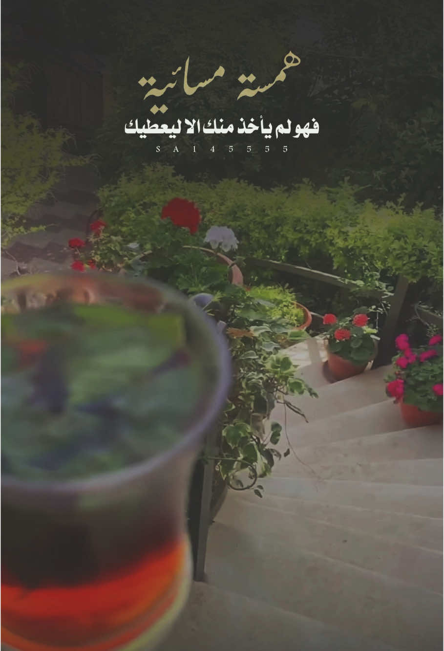 مساء الرضا 🤍🤍 