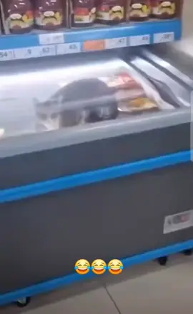 #الكايد #😂😂😂 