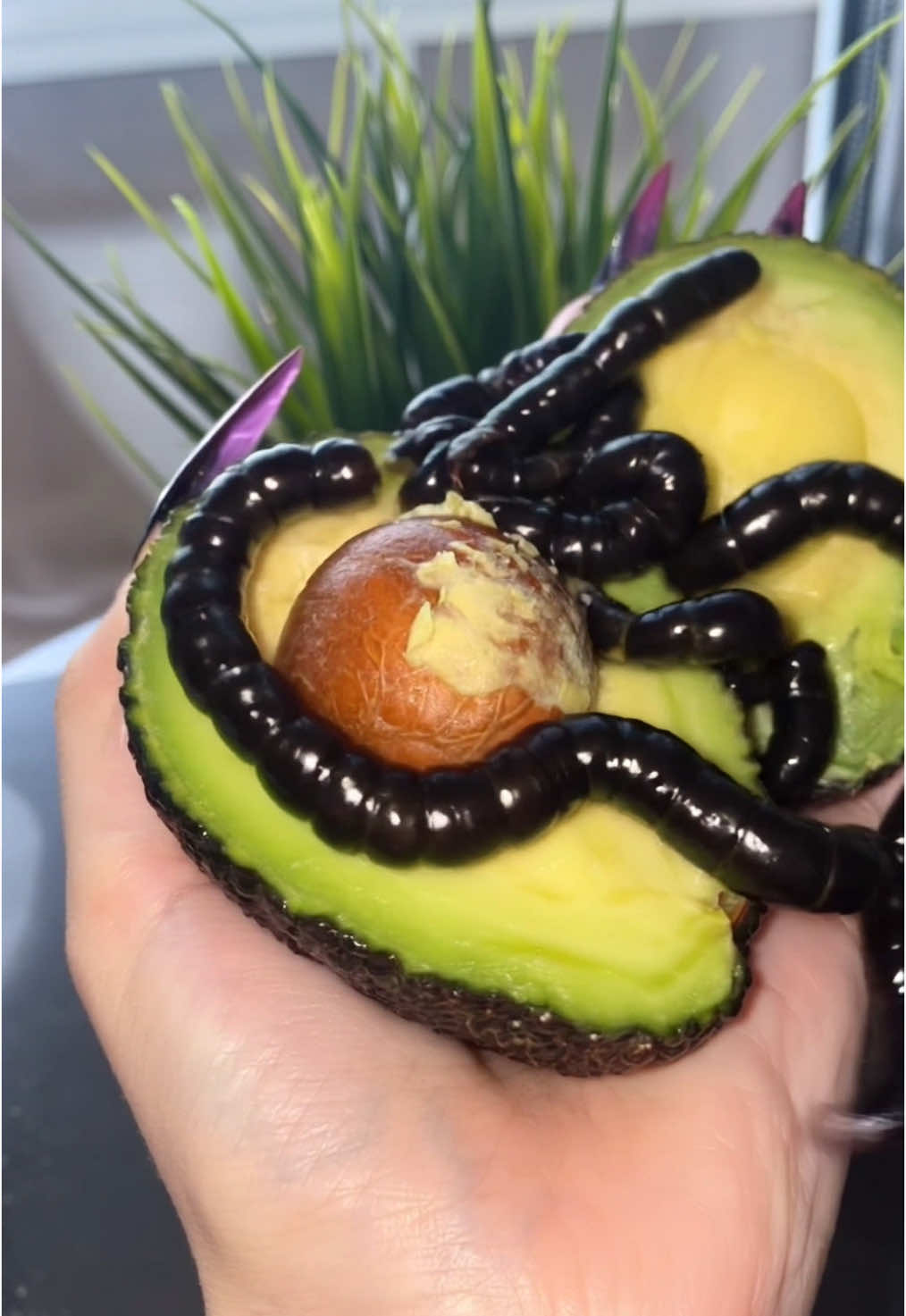 Nothing can ruin my love for avocado