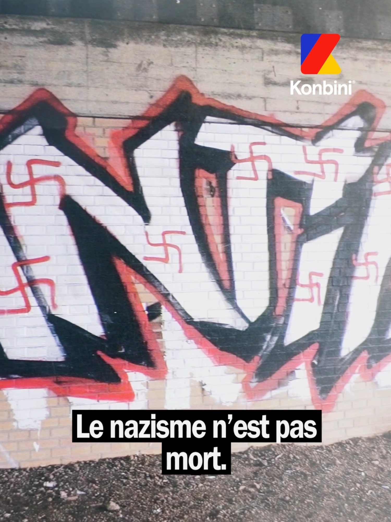 Munie d’une raclette en fer, d’un peu de dissolvant et parfois de bombe de peinture, Irmela Mensah-Schram racontait, alors âgée de 76 ans, sa lutte quotidienne  contre la propagande nazi en Allemagne : 
