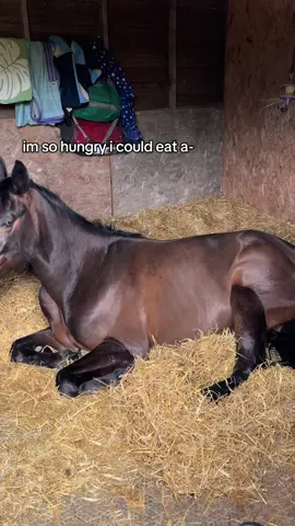 yes this is a remake i’m sorry  #vira #horse #horses #fyp #foryou #foryoupag #jok 