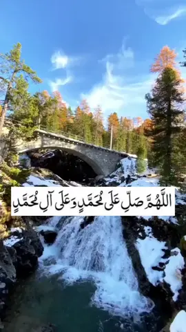 #اللهم_صل_على_محمد_وآل_محمد #اللهم_انك_عفو_تحب_العفو_فاعف_عنا #گــوهــداربـە😊 #fyp 