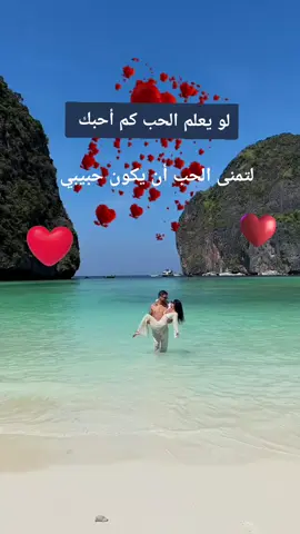 #faress kamal 08## حبيبي 