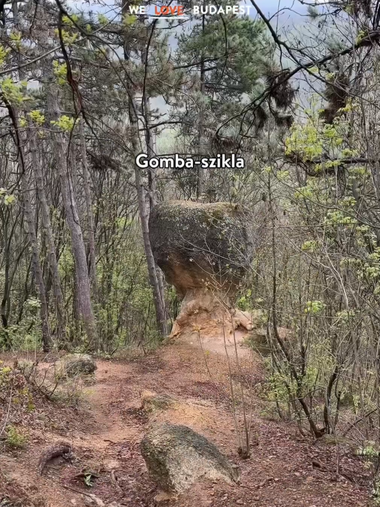 🍄‍🟫🪨 Piliscsabánál olyan különös sziklaképződményeket találni, mint a Gomba-szikla vagy a zavarba ejtő nevű Ördögoltár-szikla. Egy rövid, de látnivalóban gazdag körtúrát ajánlunk. #gombaszikla #ördögoltárszikla #pilis #piliscsaba #kirándulás #kirándulóhely #túratipp #természet #élmény #programötlet #szabadidő #budapest #welovebudapest #magyar #magyartiktok #magyarország 