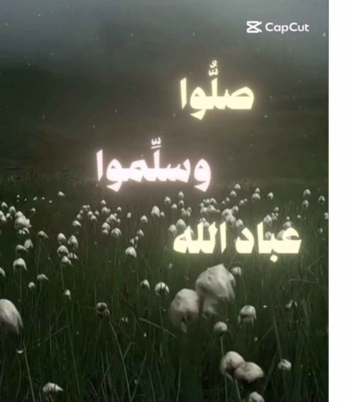 صلّوا على من بكى شوقاً لرؤيتنا، صلّوا على النور اللي أخرجنا من الظلمة. اللهم صلِّ وسلم على سيدنا محمد، عدد ما ذكره الذاكرون وغفل عن ذكره الغافلون