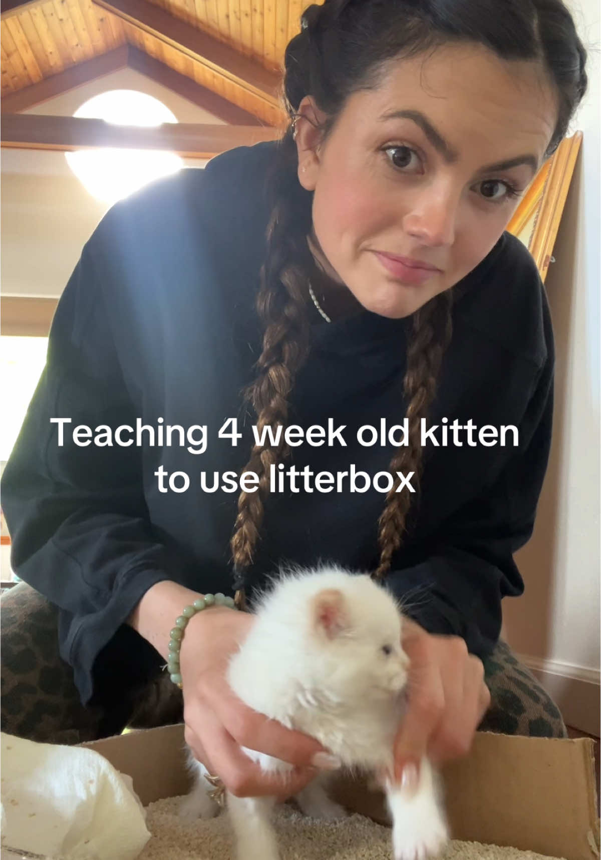 How am I doing guys? #kittycat #pottytraininingmama #kittylitterhacks #charmy #honeymoon 