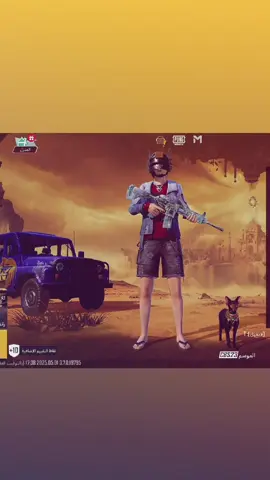 #بوبجي_موبايل 