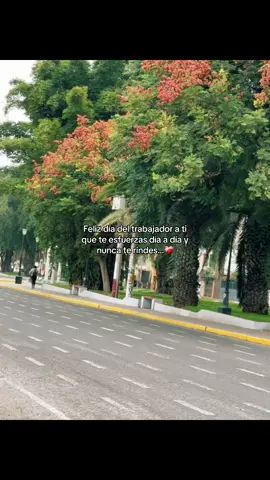 👑❤️‍🩹 #paratiiiiiiiiiiiiiiiiiiiiiiiiiiiiiii #tequiero #teamo #frasesparadedicar #tacna_peru🇵🇪 #tacna #fyp 
