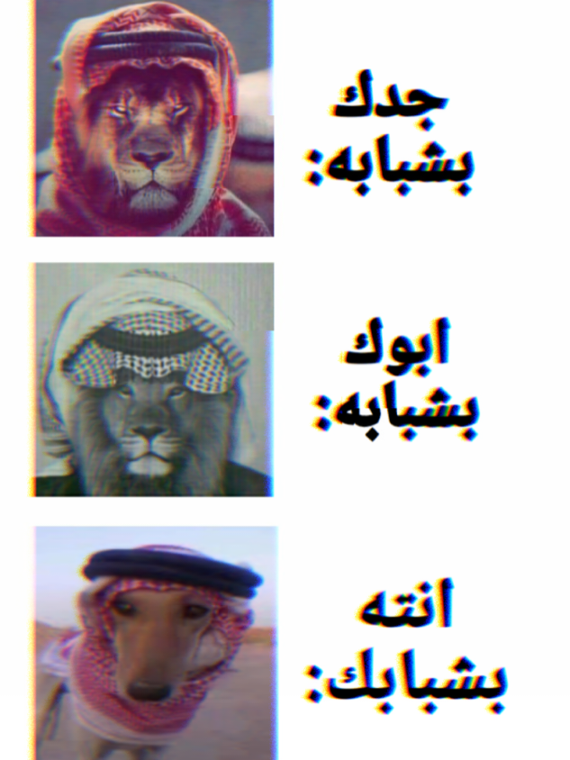 #بختصار #😭😭 #قاسم_سليماني #مابيه_حيل_اخلي_هاشتاكات #ايران #العراق #شعب_الصيني_ماله_حل😂😂 #شعب_الصيني_ماله_حل😂😂 #شعب_الصيني_ماله_حل😂😂 #شعب_الصيني_ماله_حل😂😂 #شعب_الصيني_ماله_حل😂😂 #شعب_الصيني_ماله_حل😂😂 #شعب_الصيني_ماله_حل😂😂 #شعب_الصيني_ماله_حل😂😂 #