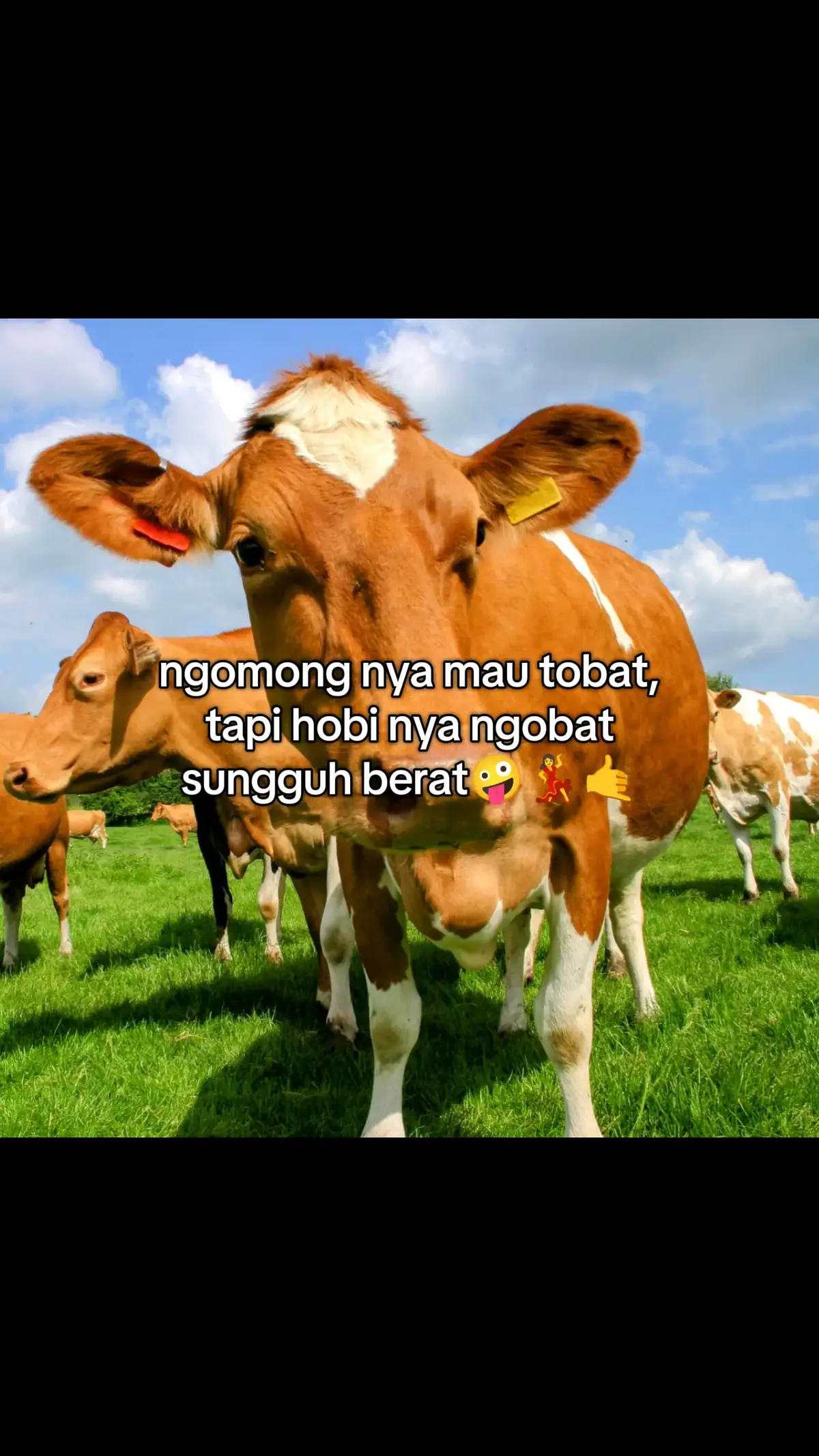 #fyp #drsapimacho #mbledos💥 #sikecilputih #terbang #cilcap24jam 