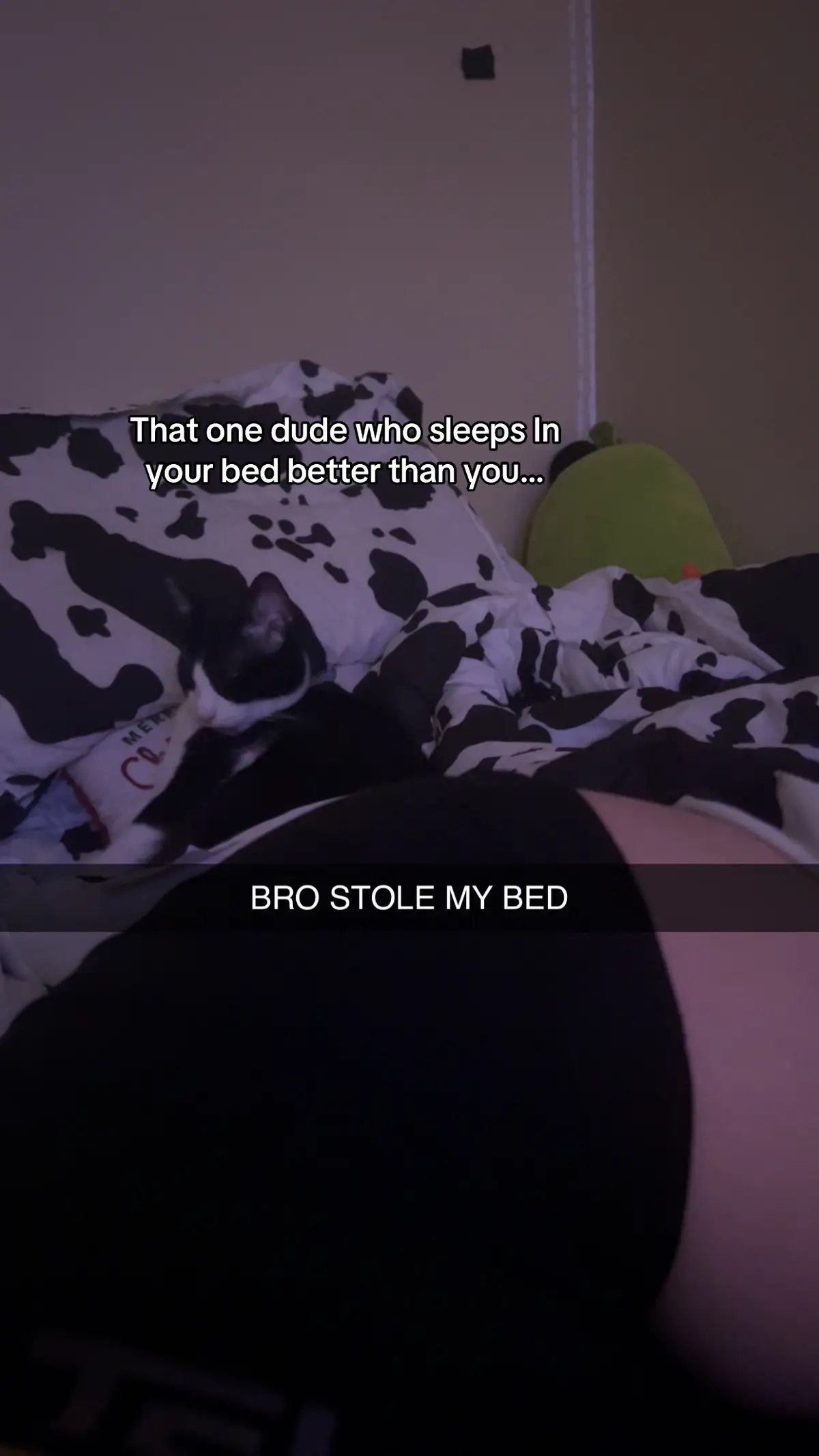 #tuxedocat #fyp #thatoneperson 