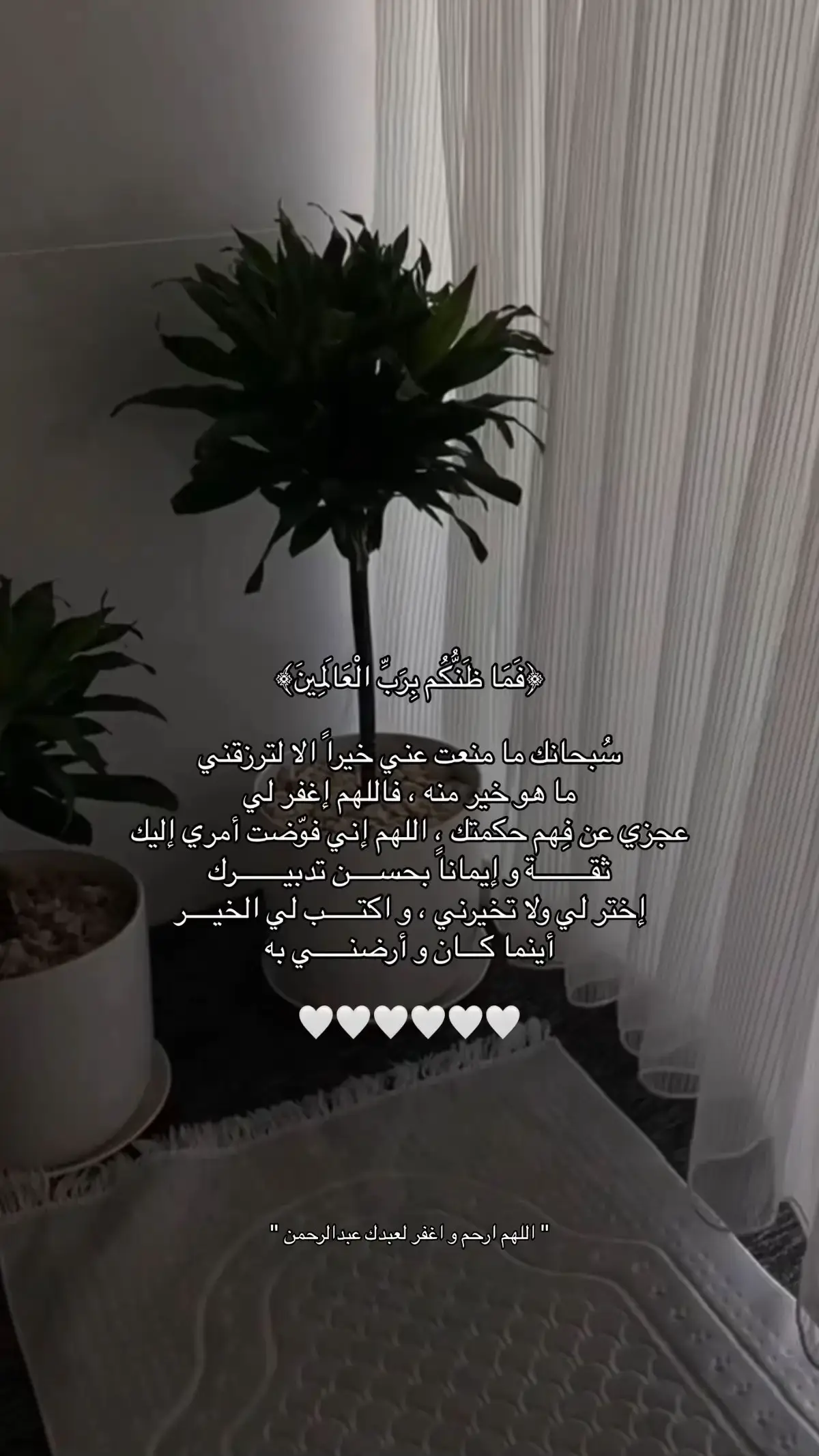 #صدقه_جاريه_لي_♡ #اجر_لي_ولكم  #صدقه_جاريه_لجميع_اموات_المسلمين  #استغفرالله_العظيم_واتوب_اليه  #لا_اله_الا_الله #TlkTok #fypシ 
