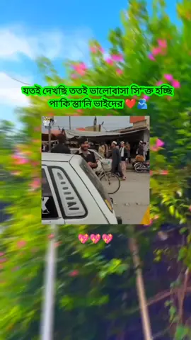যতই দেখছি ততই ভালোবাসা সি