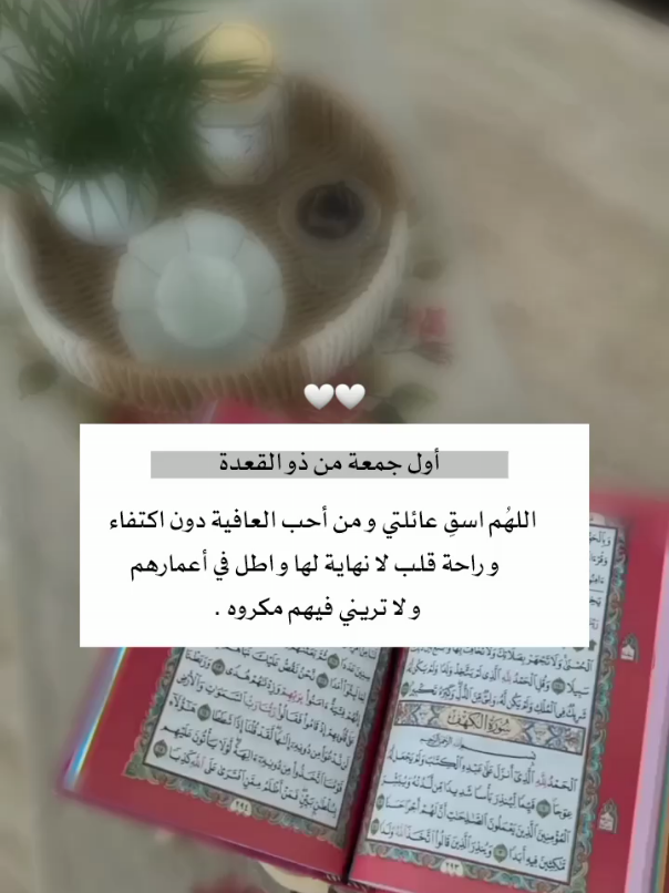 أول جمعة من ذو القعدة ‏اللهُم اسقِ عائلتي ومن أحب  العافية دون اكتفاء و راحة قلب لا نهاية لها و اطل في أعمارهم و لا تريني فيهم مكروه💗.#foryou #foryoupage #fypシ 