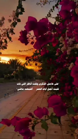 #fyp #اكسبلور #حسين_العلي 