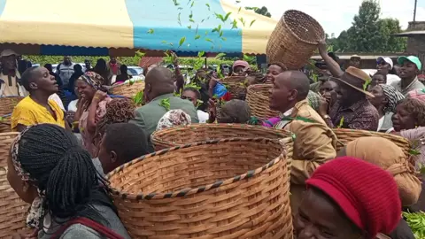 Joy for Mathira tea farmers as a new tea collection center is launched  In a significant development for local tea farmers, Solomon Maina Solo, Chairman of the KTDA MS,  today commissioned a new tea collection center in Kiaritha-ini, Iria-ini Ward, Mathira.  This is a personal initiative of the Chairman Solo jointly with the local community. This is a  major step towards improving access to the market for local tea farmers.  The new facility is expected to streamline tea collection, reduce transportation challenges, and enhance income opportunities for hundreds of smallholder farmers in Iria-ini ward. A new tea collection center will benefit local farmers by providing a centralized location to sell their harvest, potentially increasing their income. This will streamline the process of tea production, ensuring better quality control. This project may lead to more tea production in the tea industry, creating job opportunities and boosting the local economy. The modern facility which took only a few months to be complete will be serving hundreds of small - scale farmers in Kiaritha-ini, Kiamwangi and Muhuhi areas. For years, tea farmers in Kiaritha-ini and its surrounding areas faced the challenge of transporting their produce over long distances to the Ihwagi Tea Collection Center.  This facility which serves as a hub for high volumes of tea collection, has often been overwhelmed by the sheer amount of produce coming from local farmers. Recognizing this issue, the Chairman pledged during the public meeting to support the construction of a new facility to better serve the community's needs. He extended his gratitude to the community and the diligent construction team, whose combined efforts will be pivotal in completing the project as soon as possible. The decision to build the new tea collection center aligns with ongoing advocacy for the quality handling of tea, which is essential to securing better prices in the market.  By improving the logistics of tea collection, farmers hope to enhance the overall efficiency of their operations and boost their earnings. Many of the benefits this new center will bring, not only in terms of convenience but also in fostering economic growth in the region. The initiative exemplifies the power of collaboration between local leadership and the farming community to address critical issues impacting their livelihoods. Local tea directors, leaders led by MCs host David Kabatha, Jackson Kabingu (Magutu) and Julius Kamiri (Konyu) lauded the new project saying it will benefit the tea farmers directly. #tea  #mathira 