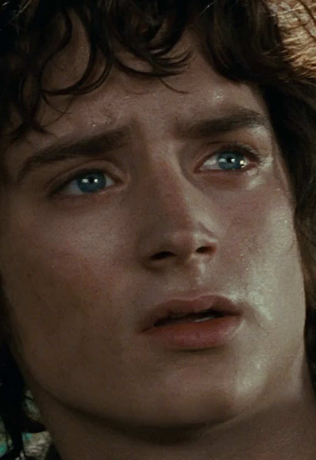 Real ones shed tears here. #TheLordOfTheRings #TheFellowshipOfTheRing #ElijahWood #ViggoMortensen #Movies #MovieClips 