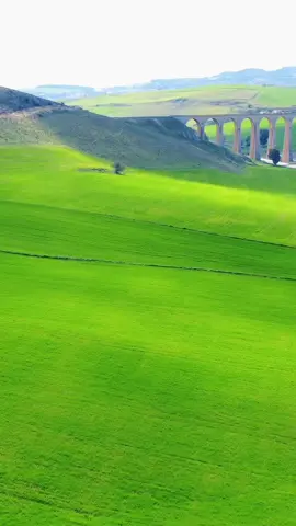 ولاية باجة من الأعلى – أرض خصبة وجمال لا يُوصف #طبيعة_ساحرة #تونسالخضراء #visittunisia #nature #طبيعة #باجة #beja #drone #fyppppppppppppppppppppppp #foryoupage #capcut_edit #explore 