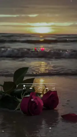 Dueles-Jesse & Joy🥀🎧💔 #lamejor_musica❤️🎧  #dueles #jesseyjoy  #rolitaslovedesamor🥀    #rolitasparaestados  #videosconletras #letradecanciones  #rolitaslove4  #rolitas_viral4 #musica_4parati 