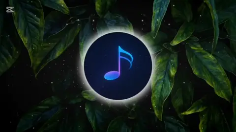 #Sosister #WithoutRegrets #rec