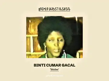 'bixiso,’ originally sung in the early 1980s by Binti Cumar Gacal, is a powerful love lament that captures hope, betrayal, and heartbreak. written by poet Yuusuf Aadan Xuseen 'Alaale' and composed by Cabdi Tahlil Warsame (AUN), it tells the story of a young woman swept into love by a deceitful man, only to be left disillusioned. her emotional journey across different cities — Beled-Xaawo, Boosaaso, Burco, and beyond—reflects the depth of her pain. the song sparked a musical exchange, with Cabdi Nuur Alaale criticising it and Saado Cali (AUN) responding in defence.  it remains a striking example of Somali lyrical storytelling and the emotional weight the arts carry in expressing love and loss. #fyp #somali #somalitiktok 