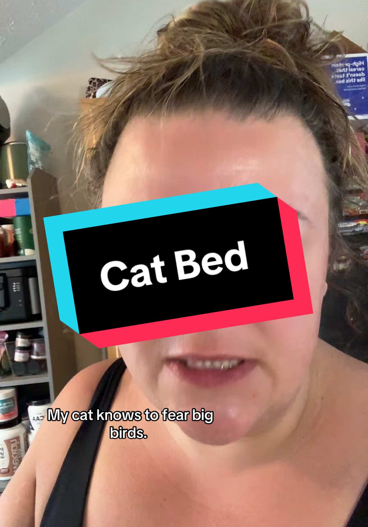 #catsoftiktok #cattok #catbed #petbed #catmom 