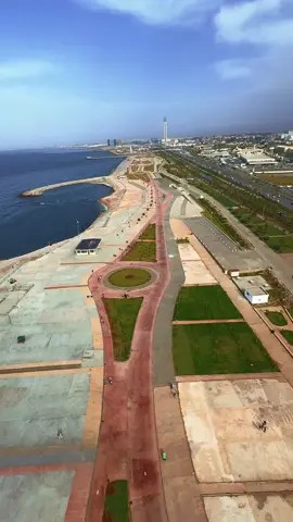 track Para Moteur ❤️🇩🇿 #algeria #algeria🇩🇿 #sablette_alger 