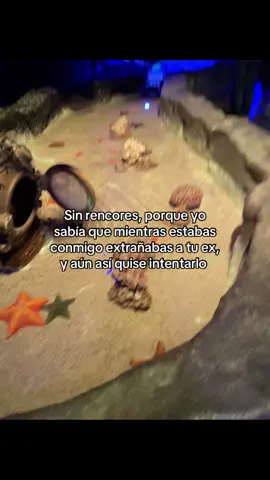 aúnasiteamo #paratiiiiiiiiiiiiiiiiiiiiiiiiiiiiiii #fyp #viral_video #💔 #teextraño #slw 