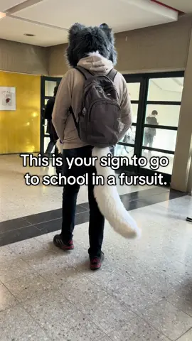 Go for it! :3 @Dasher 🎀  Tags: #furry #furryfandom #fursona #furries #fursuit #furrycommunity #oc #cute #furryoc #anthro #fursuiter #furrypride #originalcharacter #fursuiting #furrys #fur #furriesoftiktok #furriesoinstagram #furriesofinstagram #meme #memes #furrymemes #furrymemes #fursuitfriday 