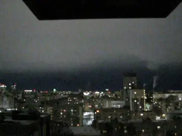 telegram channel — msngbyss