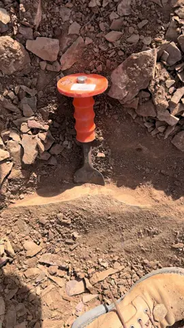 Not the most exciting video, but I bet you haven’t heard of this FREE Rockhounding spot! 🚨 Oak Springs Trilobite Area! They get absolutely massive. I only got to spend a couple hours there while passing through. I found loads of trilobites and a plate with several giant partials. Located between Vegas and Ely. If you love fossils you’ll love this place. 
