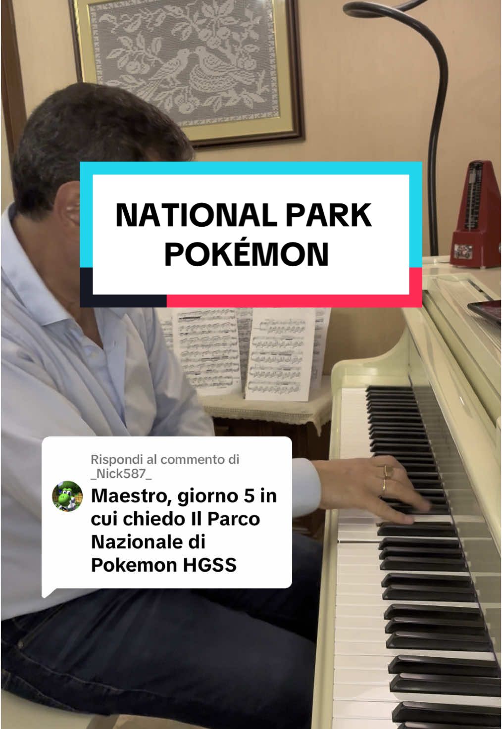 Risposta a @_Nick587_  NATIONAL PARK POKÉMON #pokémon #nationalpark #pianocover #pianotok #pianistacompositoresiciliano 