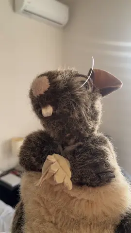 Desquehacerada #moco #cancion #humor #fyp 