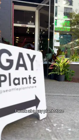 This week’s gay plant shipment is in and we’ve got more than just plants for more than just gays ✨🪴🌈 Which plants set off your gaydar? #gay #plants #houseplants