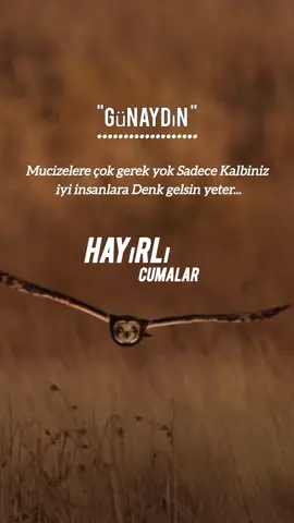 #hayırlıcumalar🌹🌺🌺🌷💖 #günaydın #cuma #sabah #cumanız_mübarek_olsun🌹🕋🌹🕌🤲 #hayırlıcumalar #cumamesajları #mucize #iyi #insan#🕊️ #💫 #🌺 #🌹🌹🌹 #🕌 #💐 