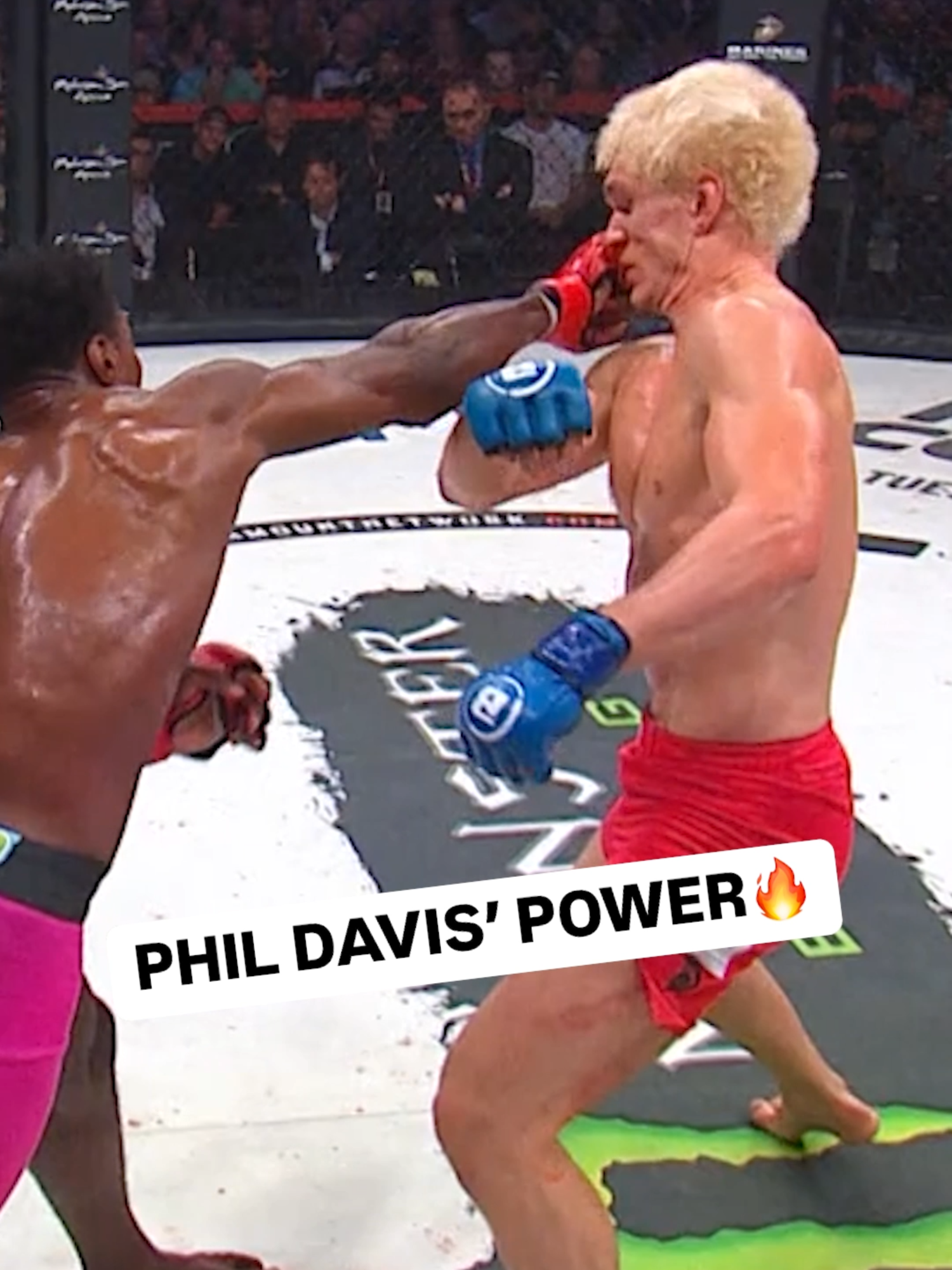 Phil Davis said night night 🥶💥💤 Mr. Wonderful makes his PFL debut tonight at 10pm ET on ESPN2. #PFLWorldTournament #PFL #mma #fight #sports #combatsports #sportstiktok #ko #knockout #power #punch