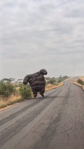 He's going as fast as he can
