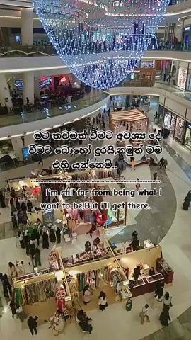 📌️ සත්තකින්ම..👣🚶 #fyppppppppppppppppppppppp #කුවෙට්_අහස_යට🇰🇼❤️🇱🇰 #srilankan_tik_tok🇱🇰 #🇰🇼❤️🇱🇰 #kuwait🇰🇼 